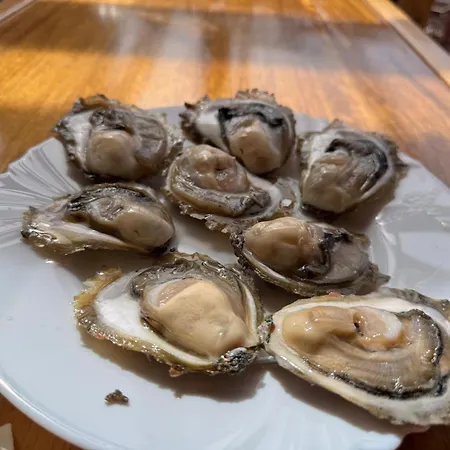 Apartamento Domus Nostrae - Peljesac 2 Only Adults *